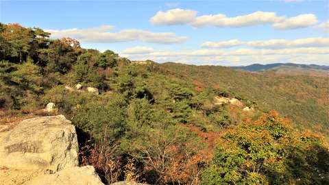 26�����г�����֢���ޤ��г�������ʤɵ��ξ�����