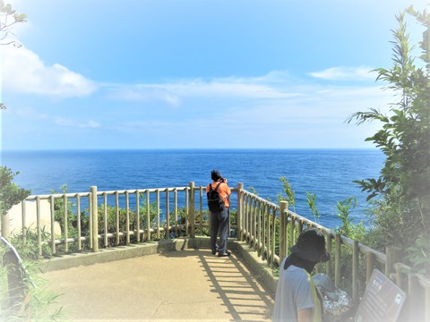 »×¤¤¤Î¤Û¤«¶¹¤¤ÂÀ¢Ì¨¤Î¸«À²¤é¤·Âæ