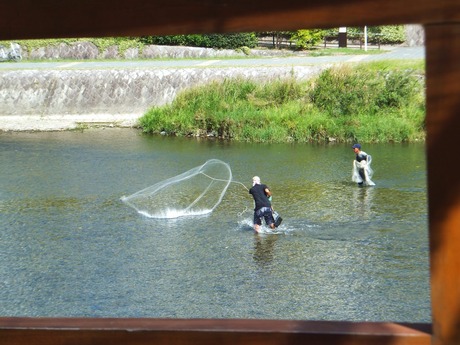 ��������֤���͡���������ή������