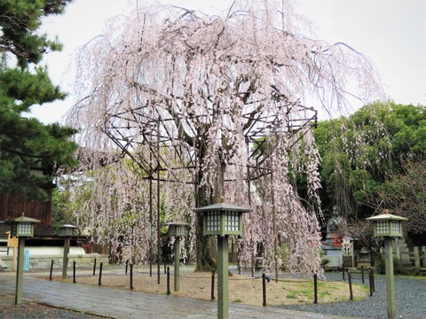 ������ΰ�����