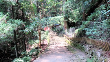 21�����ɤ��̵������