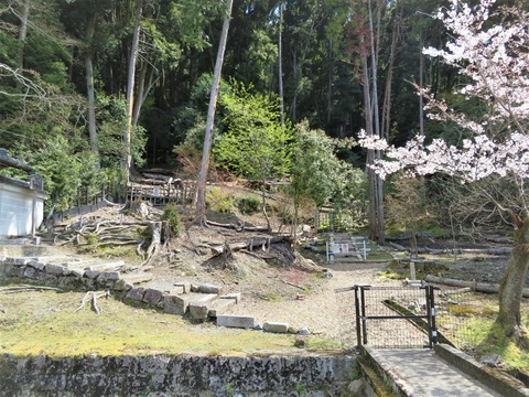 ���ڶ������Ω������ػ�