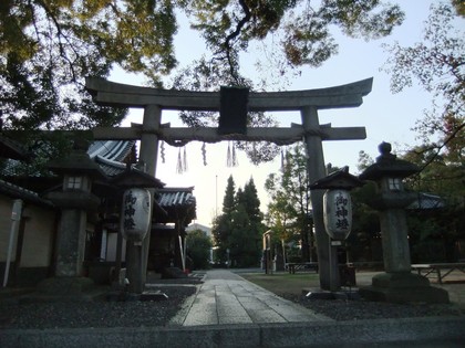 ���������