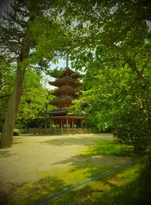 31���޽���