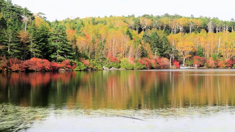 4¡¦¤¤ì¤¤¤Ç¤¹²«ÍÕ