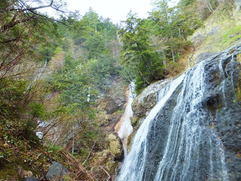 ���Ȥ���������˾����