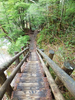 �޸��ۤγ���