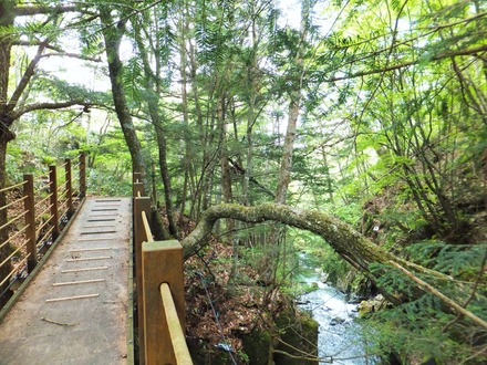 ���ʥ�綶�Ⱦ�������