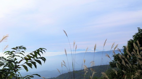 17¡¦½©¤Î¿®½£¡¦¥á¥ë¥Ø¥ó³¹Æ»¤«¤é