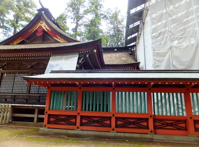 ���¤θ����ʾ�¤�������