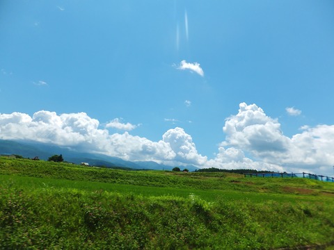 ���ʤ˲Ƥ��褿