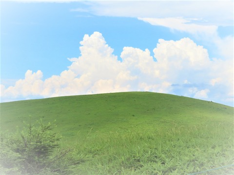 ij¡¹¿¼»³¤ËÉ⤫¤Ö²Æ±À