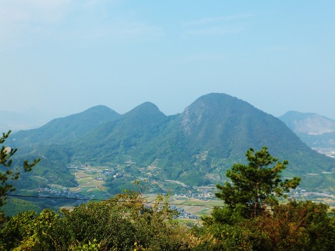 �޳ٻ��������о廳���滳�����һջ�