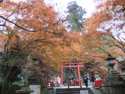 ���¤ؤγ��ʲ�Ļ��