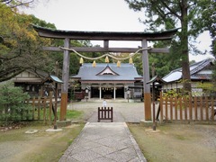 ������󸮲�Į����������