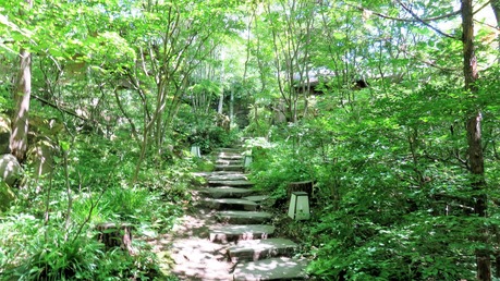 5¡¦ÌÚϳ¤ìÆü¤òÍî¤È¤¹ÀÐÃÊ