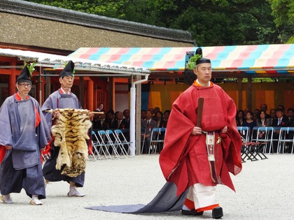 ����μ�Ƭ����