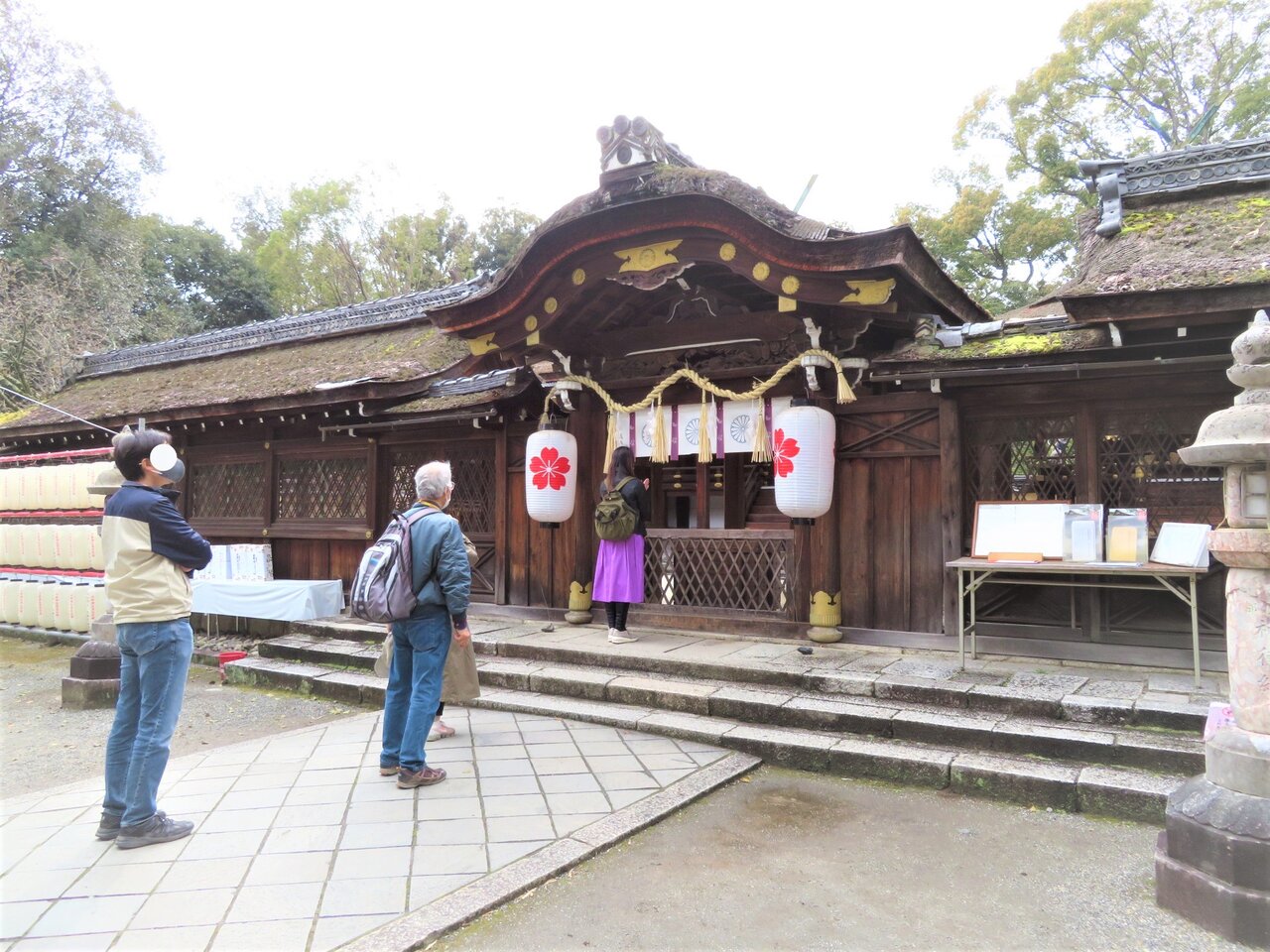 彦左の正眼 2021年京都の桜 平野神社の魁桜 さきがけざくら は満開 3月25日 彦左の正眼 2021年京都の桜 平野神社の魁桜 さきがけざくら は満開 3月25日