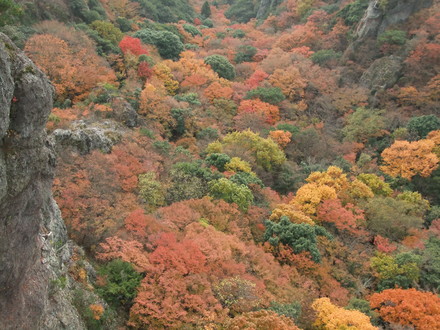 ��ë�����Ԥ�������