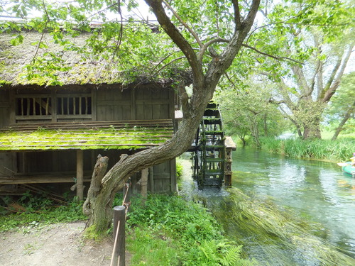 ¹õÂôÌÀ¡ÖÌ´¡×¤Ë»È¤ï¤ì¤¿¿å¼Ö¾®²°¤Î¤¢¤ëÉ÷·Ê