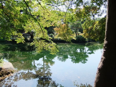 ���դαǤ���