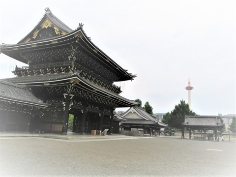 ÅìËÜ´ê»û¡¡¸æ±ÆÆ²Ìç¤ÈµþÅÔ¥¿¥ï¡¼