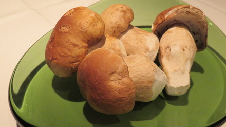 18¡¦¥¤¥¿¥ê¥¢¤Î¥¥Î¥³¤Î²¦Í͡ɥݥë¥Á¡¼¥Ë¡É