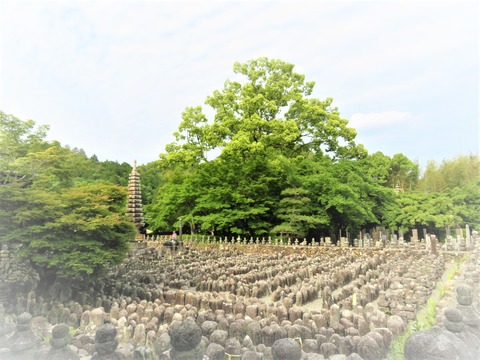 ²½ÌÀ¾±¡¤Î²Ï¸¶