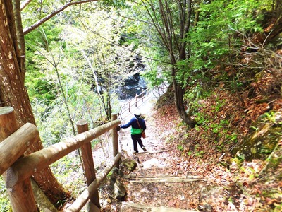 ���Ĥ������ˤϼꤹ�꤬