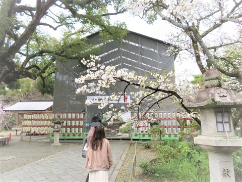 ��2018ǯ9��4��������21����ݲ����������������