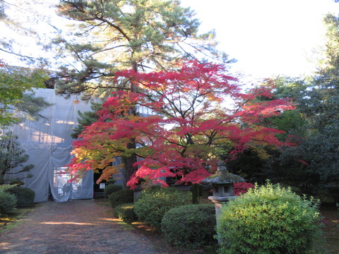 ��������طʤȤ���Ф��������������ˡ�����