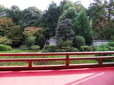 ǽ�δ֤�������Ѥ�