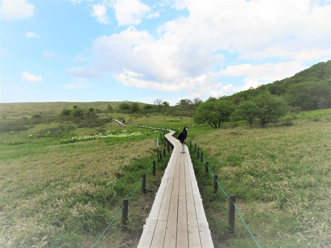 ���ֻ�����̸����������ʪ������ƻ