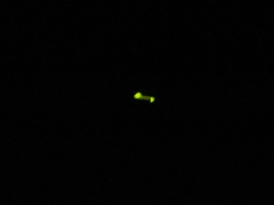 �ۥ�������