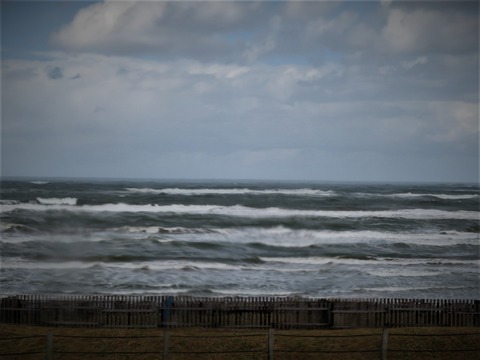 ���ޤ����ߤι�ŷ�����ܳ�