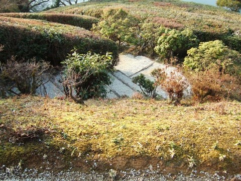 隣雲亭への階段