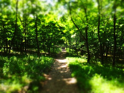 ��ϳ�����ε֤��⤯