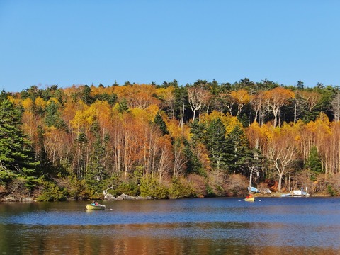 5���鷺���˻Ĥ���դ򥢥åפ�