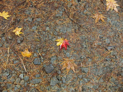 �޿��¤ι���