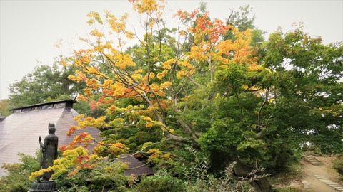 31��ŷƸ�Լ㾾���δѲ����ޤȲ���