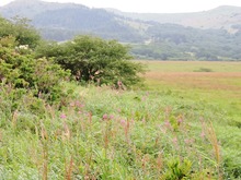 5�����Хʥ���ĥ��������餭���Ƥ���