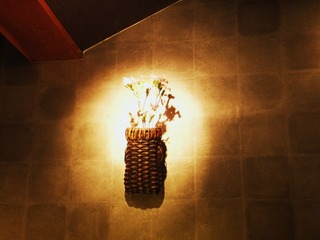 ³Ý²ÖÆþ¤ì¤âÀ¶Á¿