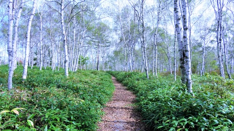 11¡¦·²À¸ÎӤλ¶ÊâÆ»