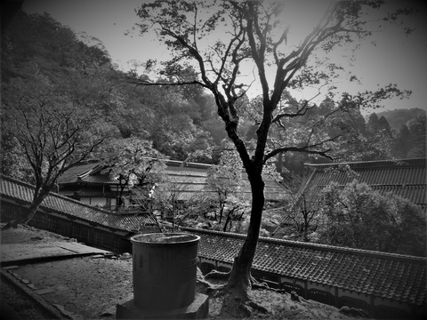 ��ˡƲ������˱���ʩ�¤��粰���򸫤� - ���ԡ�