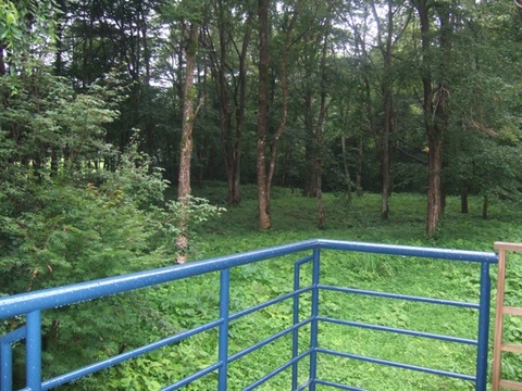 �ƥ饹�����Ω