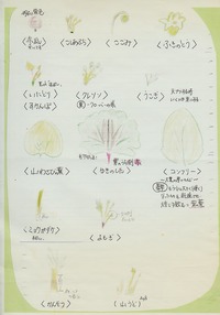 £±£´¡¦»³ºÚ¤ÎÀâÌÀ½ñ¤