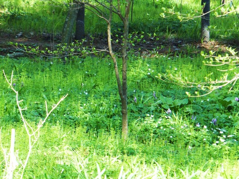 ¥«¥¿¥¯¥ê¤ÈÆóÎØÁ𤬺®¤¸¤Ã¤Æ·²À¸