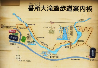 ���ʥ������