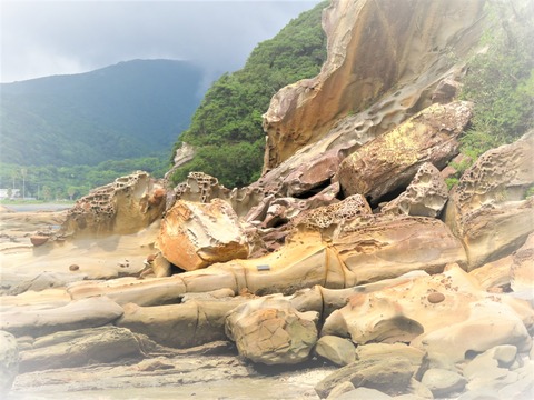 �������