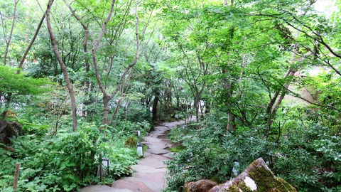 Îб¢¤òµ¢Ï©¤Ë¤Ä¤¯